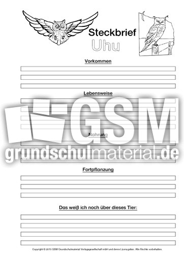 Uhu-Steckbriefvorlage-sw-2.pdf